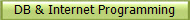DB & Internet Programming